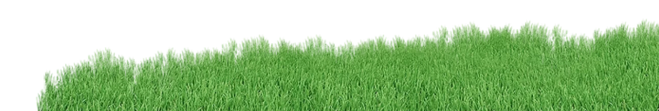 grass-2073071_960_72